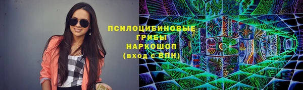 ГАЛЛЮЦИНОГЕННЫЕ ГРИБЫ Нефтегорск